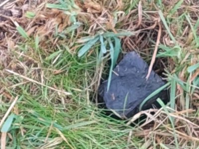 Graanrepubliek_oktober_2024_82